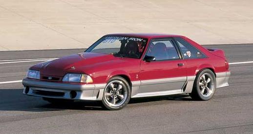 My high maintenance Life Partner…